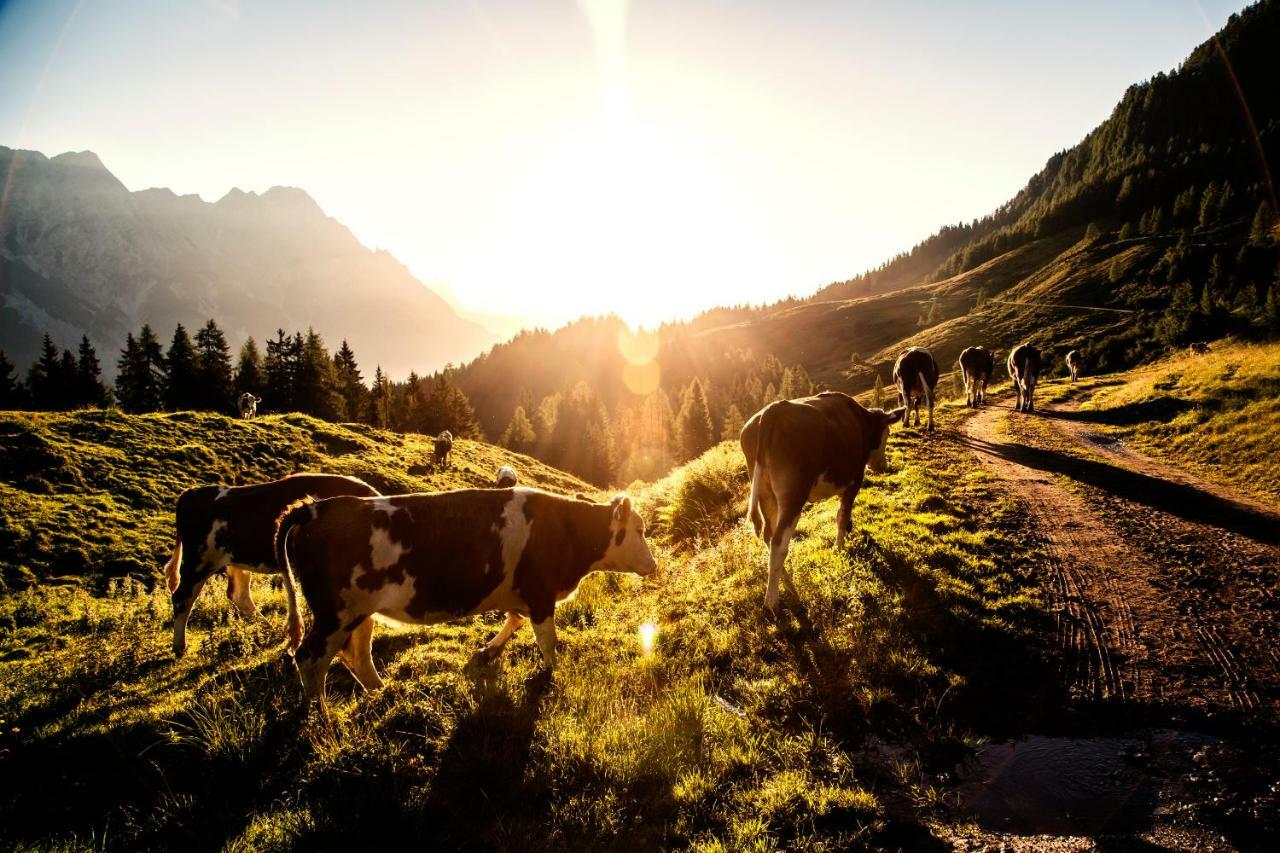 Kaiserhaus Leogang Kültér fotó